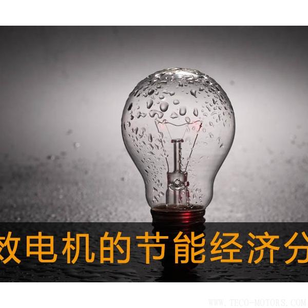 高效電機(jī)的節(jié)能經(jīng)濟(jì)分析及應(yīng)用高效電機(jī)的節(jié)能經(jīng)濟(jì)分析及應(yīng)用 電機(jī)知識(shí) 第2張