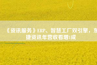 《資訊服務》ERP、智慧工廠雙引擎，東捷資訊年營收看增1成