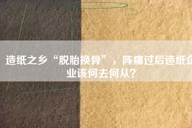 造紙之鄉(xiāng)“脫胎換骨”，陣痛過(guò)后造紙企業(yè)該何去何從？