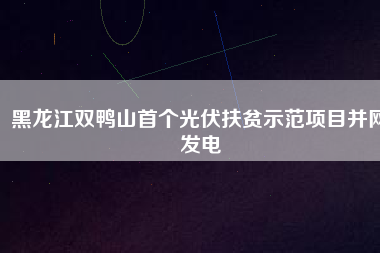 黑龍江雙鴨山首個光伏扶貧示范項目并網發(fā)電