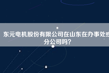 東元電機(jī)股份有限公司在山東在辦事處或分公司嗎？