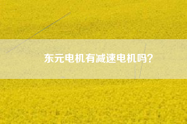 東元電機(jī)有減速電機(jī)嗎？