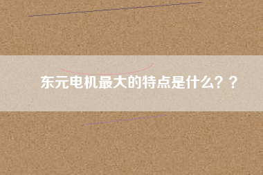 東元電機(jī)最大的特點(diǎn)是什么？？