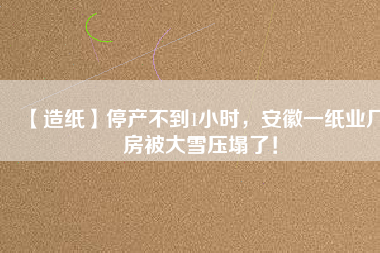 【造紙】停產(chǎn)不到1小時(shí)，安徽一紙業(yè)廠房被大雪壓塌了！