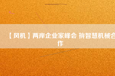 【風(fēng)機(jī)】兩岸企業(yè)家峰會(huì) 拚智慧機(jī)械合作