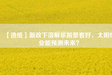 【造紙】新政下溶解漿前景看好，太陽紙業(yè)能預(yù)測未來？