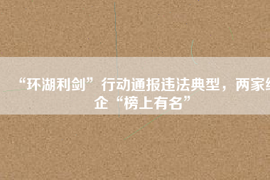 “環(huán)湖利劍”行動通報(bào)違法典型，兩家紙企“榜上有名”