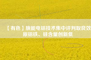 【有色】旗能電鋁技術集中評判取良效 原鋁鐵、硅含量創(chuàng)新低