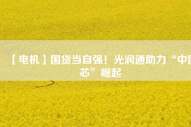 【電機(jī)】國(guó)貨當(dāng)自強(qiáng)！光潤(rùn)通助力“中國(guó)芯”崛起
          