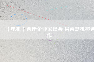 【電機(jī)】兩岸企業(yè)家峰會(huì) 拚智慧機(jī)械合作
          