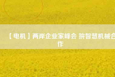 【電機(jī)】兩岸企業(yè)家峰會(huì) 拚智慧機(jī)械合作
          
