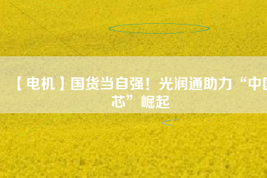 【電機(jī)】國(guó)貨當(dāng)自強(qiáng)！光潤(rùn)通助力“中國(guó)芯”崛起
          