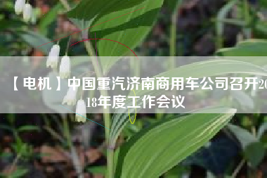【電機(jī)】中國(guó)重汽濟(jì)南商用車公司召開2018年度工作會(huì)議